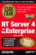 NT Server 4 in the Enterprise