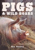 Pigs & Wild Boars