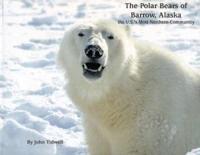The Polar Bears of Barrow, Alaska