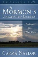 A Mormon's Unexpected Journey