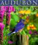 Audubon Bluebirds Calendar