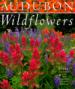 Audubon Wildflowers Calendar