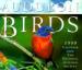 Audubon Birds Calendar