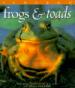 Audubon Frogs and Toads Calendar