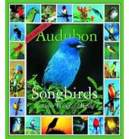 365 Audubon Songbirds Cale 2003