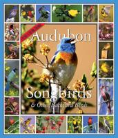 Audubon 365 Songbirds & Other Backyard Birds Wall Calendar 2005