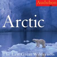 Audubon Arctic Calendar 2008