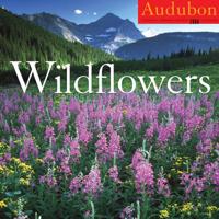 Audubon Wildflowers Calendar 2008