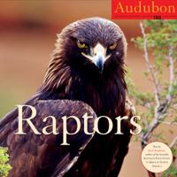 Audubon Raptors Calendar 2008