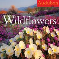 Audubon Wildflowers Calendar 2009