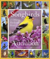 Audubon 365 Songbirds and Other Backyard Birds Picture-A-Day Calendar 2009