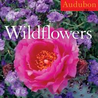 Audubon Wildflowers Calendar 2010