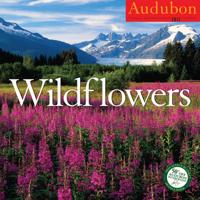 Audubon Wildflowers Calendar 2011