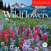Audubon Wildflowers Calendar 2012