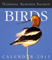 AUDUBON BIRDS GALLERY CALENDAR 2013