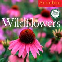 Audubon Wildflowers Calendar 2014