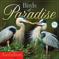 Audubon Birds of Paradise Wall Calendar 2014