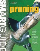 Pruning