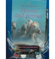 Horses and Ponies Beginners Kid Kit