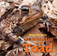 The Hidden Life of the Toad