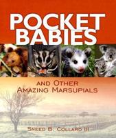 Pocket Babies