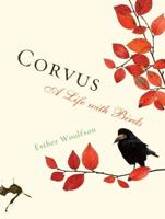 Corvus