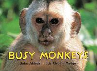 Busy Monkeys