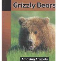 Grizzly Bears