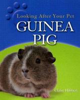 Guinea Pig