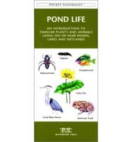 Pond Life
