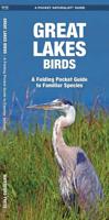 Great Lakes Birds