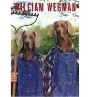 Wegman William - 25 Postcards