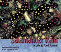 Salamander Rain