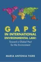 Gaps in International Environmental Law