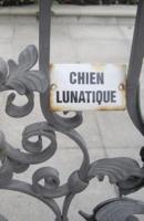 Chien Lunatique: Poems