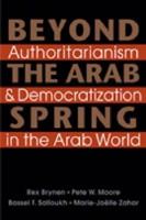 Beyond the Arab Spring