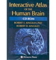 Interactive Atlas of the Human Brain