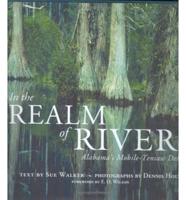 In the Realm of Rivers