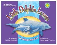 Little Dolphin Learns