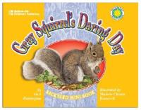 Gray Squirrel's Daring Day