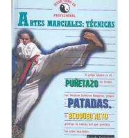 Artes Marciales-Tecnicas/Martial Arts-Techniques
