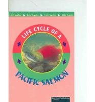Pacific Salmon