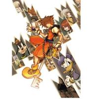 Kingdom Hearts Trading Card Game Blister Pack
