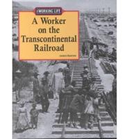 A Worker on the Transcontinental Railroad