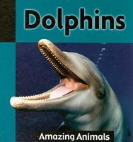 Dolphins