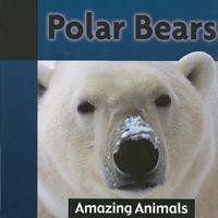 Polar Bears