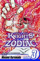 Knights of the Zodiac (Saint Seiya