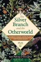 The Silver Branch and the Otherworld