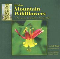 Idaho Mountain Wildflowers