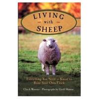 Living With Sheep